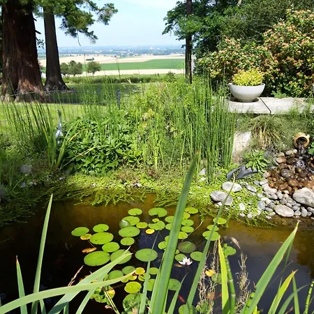 Logis - Restaurant La Sapiniere - Proche Saint Omer Hotel Wisques