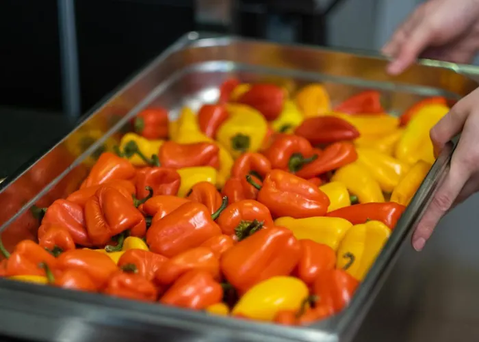 Logis - Restaurant La Sapinière