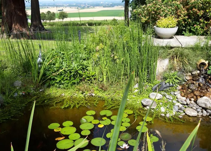 Logis - Restaurant La Sapinière Hotel Wisques