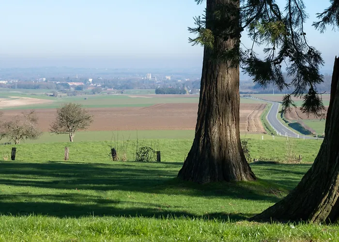 Logis - Restaurant La Sapinière 3*